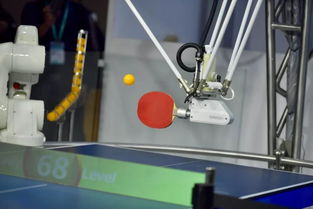 高清多圖 進博會上的 黑科技